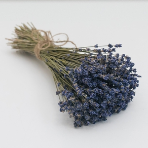 Лаванда сухая