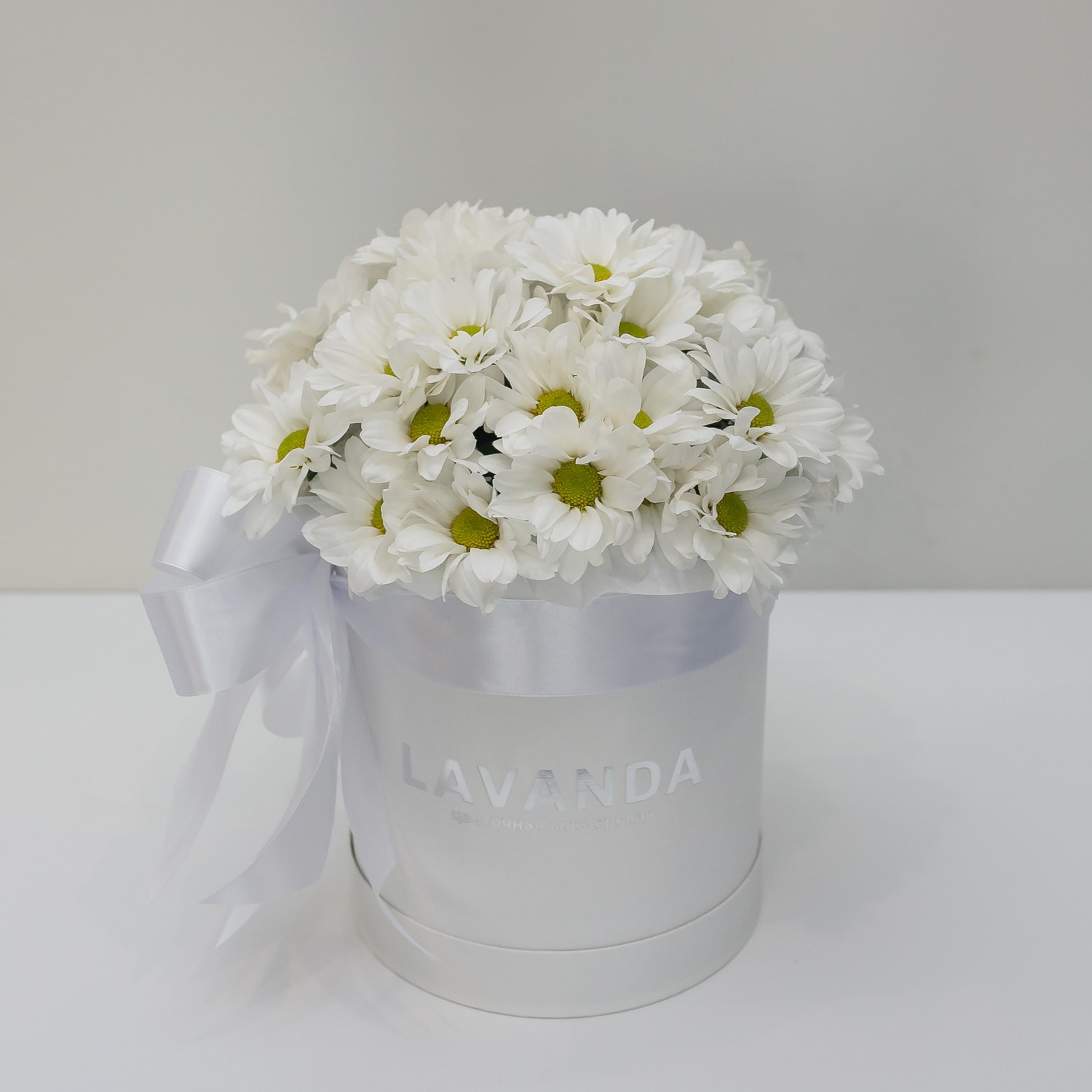 Коробочка белых ромашковых хризантем