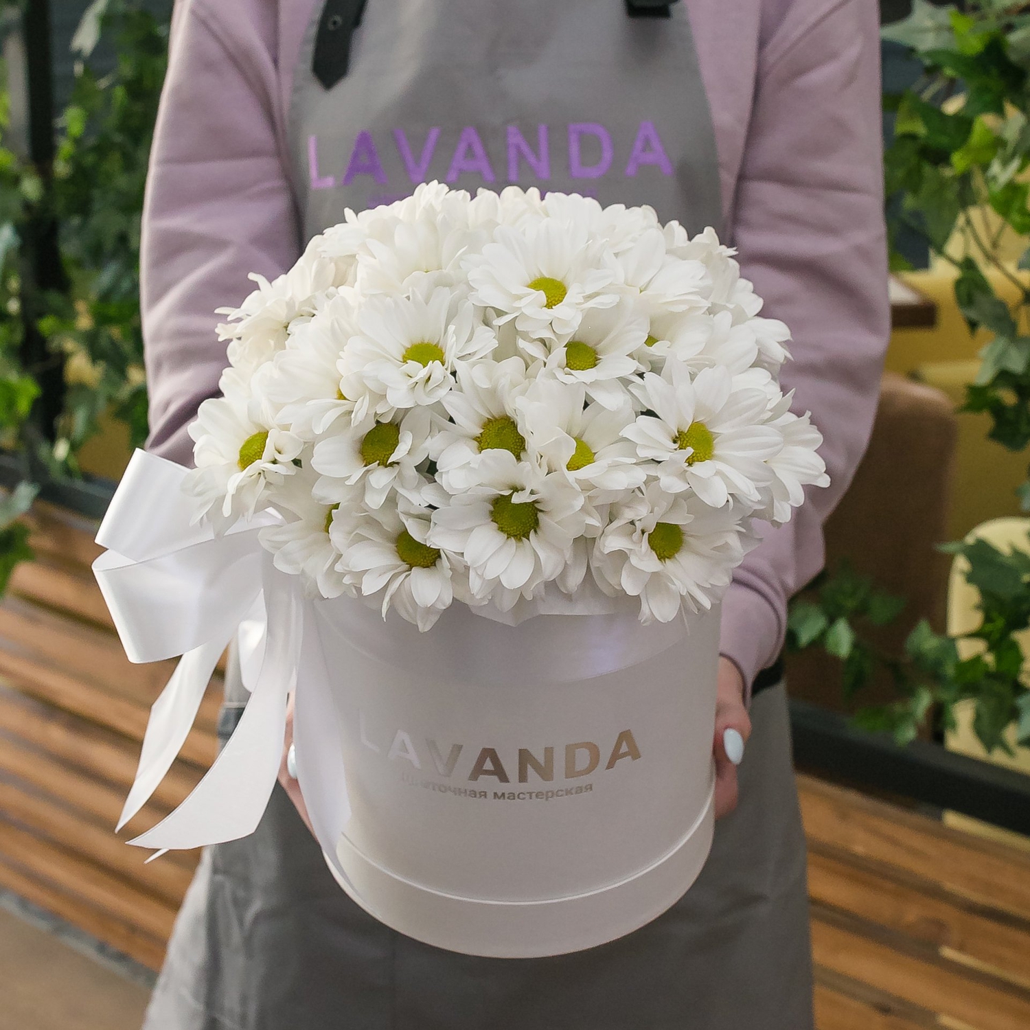 Коробочка белых ромашковых хризантем