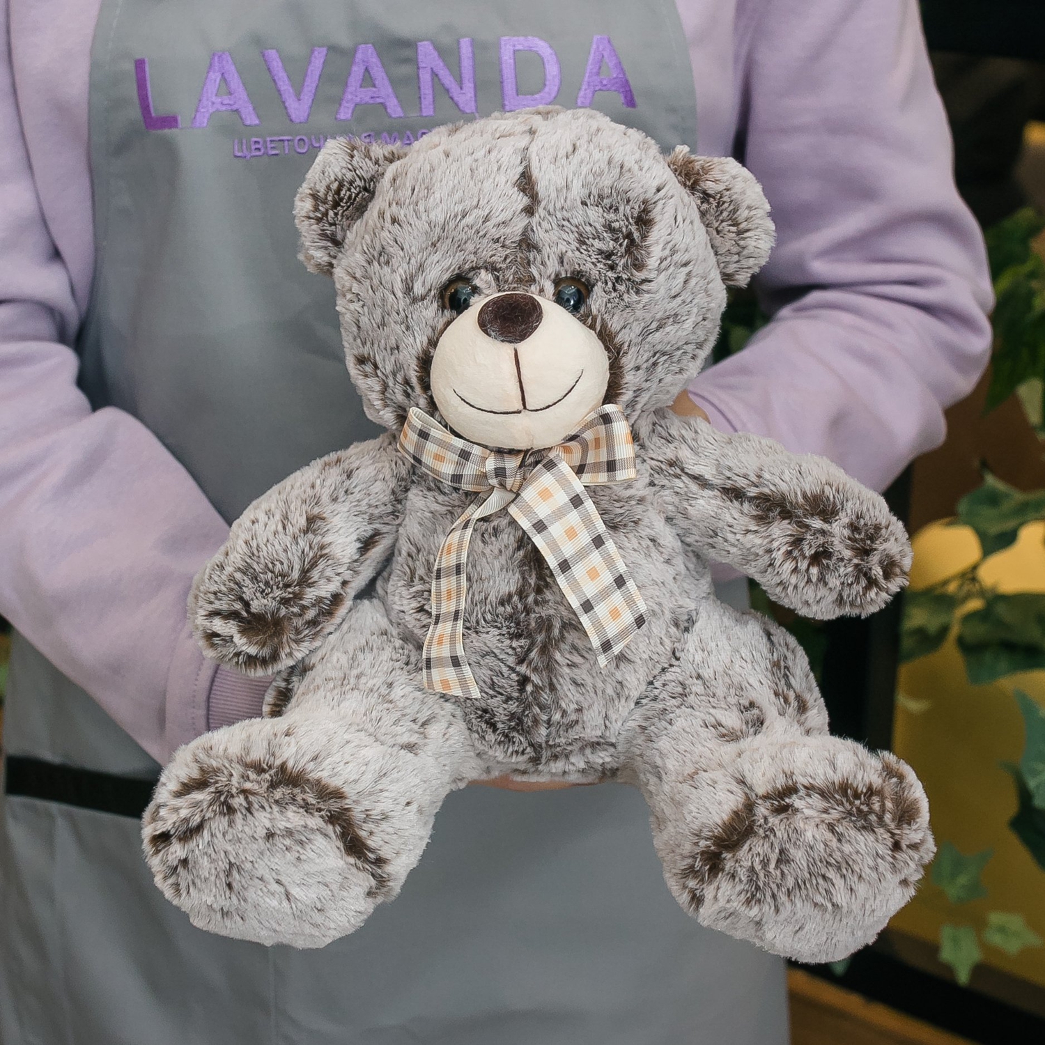 Малый мишка серого цвета