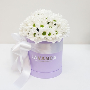 Коробочка ромашковых хризантем