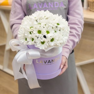 Коробочка ромашковых хризантем