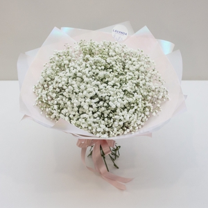 Пышный букет белоснежных гипсофил