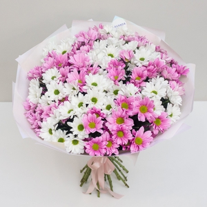 Пышный букет нежных хризантем