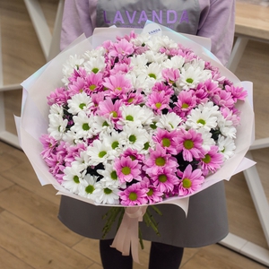 Пышный букет нежных хризантем