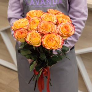 11 роз сорта Хай Меджик 50 см.