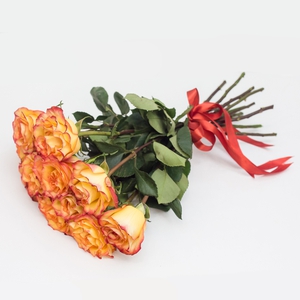 11 роз сорта Хай Меджик 50 см.