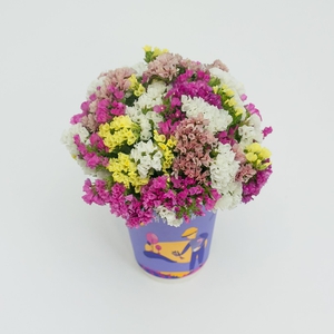 Композиция в стаканчике №13