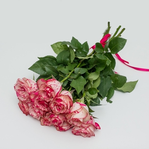 11 ярких роз 50 см.