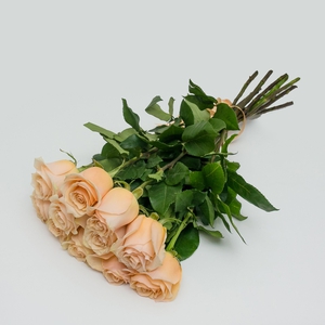 11 кремовых роз 50 см.