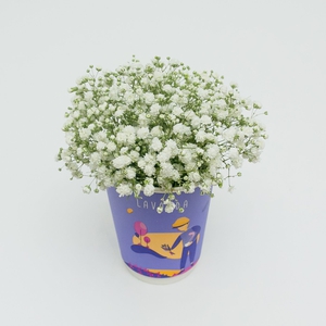 Композиция в стаканчике №11