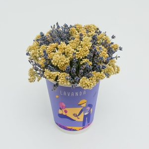 Композиция в стаканчике №12