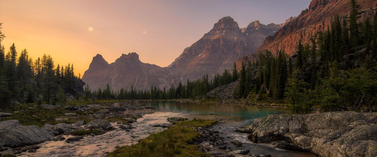 Тест нескольких доступных магазинов